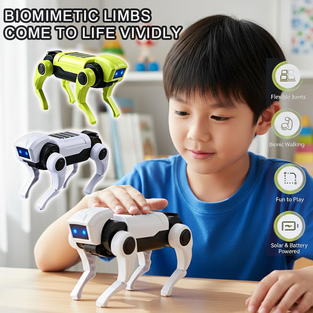 Diy Electronics Kids - Kit Robot Cane Telecomandato Fai-da-Te, Modello