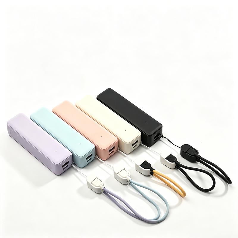 Custodia per Power Bank con Ba - Diy Electronics For Beginners recensione e prezzo