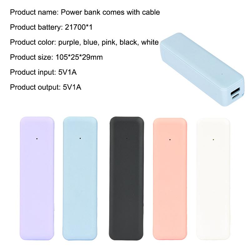 Custodia per Power Bank con Ba - Diy Electronics For Beginners recensione e prezzo